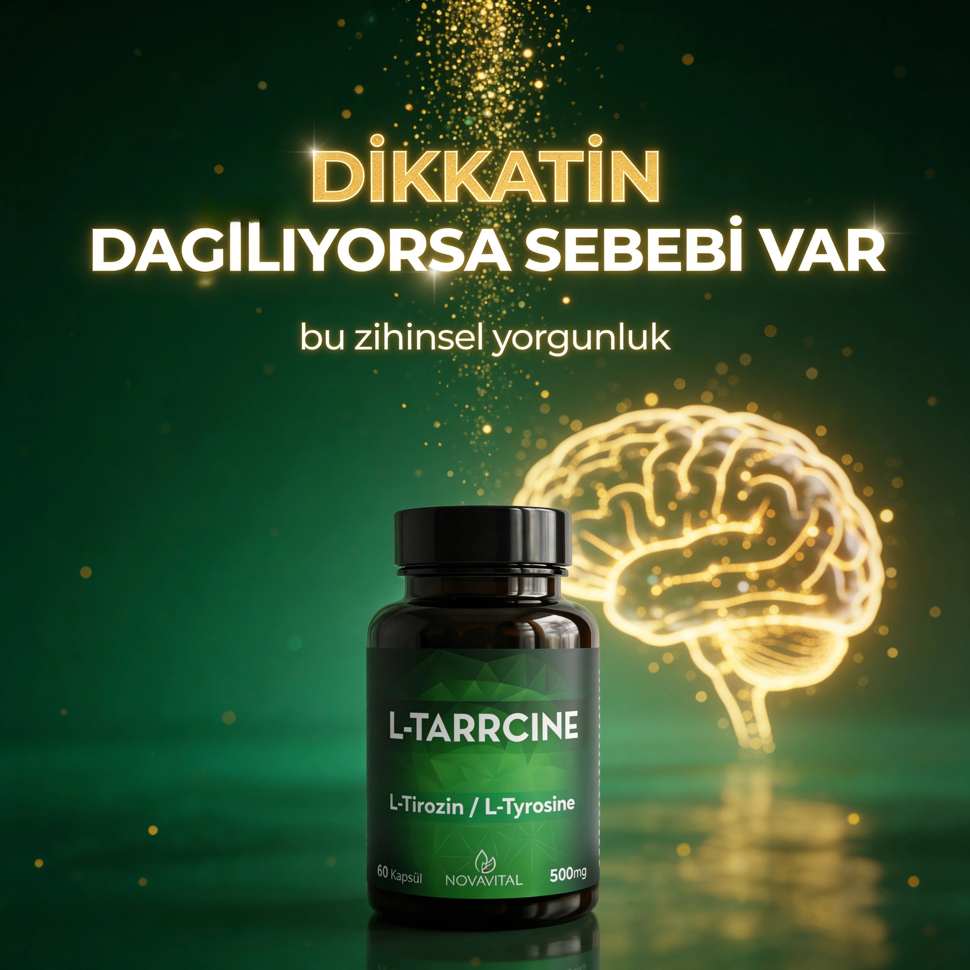 L-Tarrcine_gorsel_2_result.webp